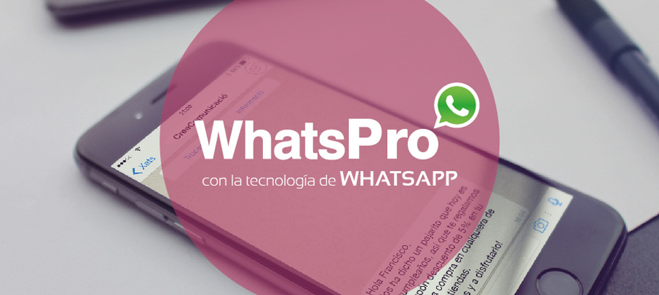 Nuevo WhatsApp para empresas: WhatsPro